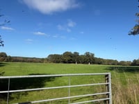 Plans for 950 homes could double the size of Surrey village