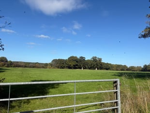 Plans for 950 homes could double the size of Surrey village