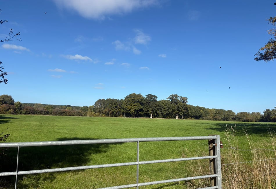 Plans for 950 homes could double the size of Surrey village