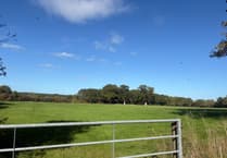 Plans for 950 homes in field could double the size of Surrey village