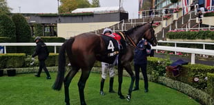 Peter Moore column: Daryz wins thrilling Prix De L'Arc De Triomphe