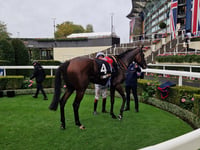 Oisin Murphy crowned British champion jockey for fifth time at Ascot