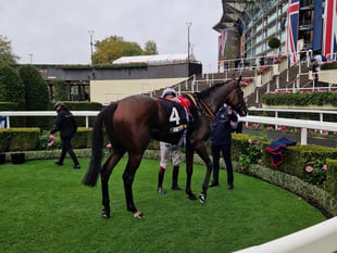 Peter Moore column: Daryz wins thrilling Prix De L'Arc De Triomphe