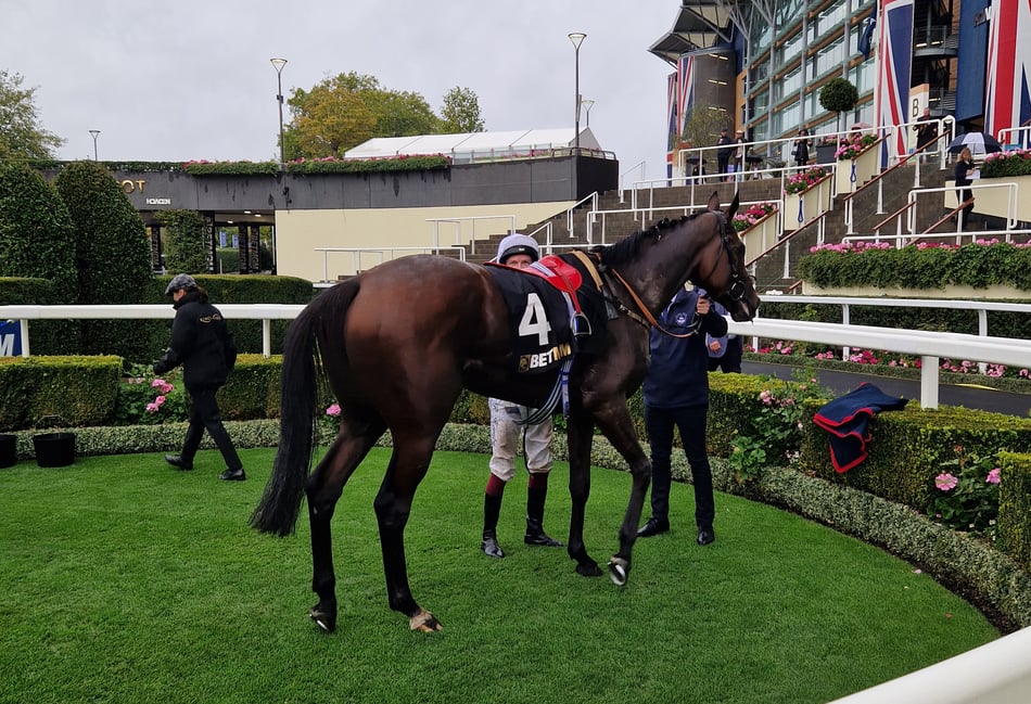 Powerful Glory makes history with shock win at Champions Day at Ascot