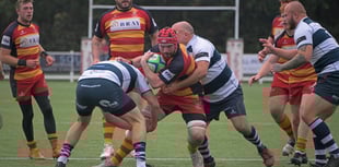 Chobham’s late surge not enough to overturn Dolphins