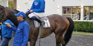 Talk Of New York claims stunning win at Kempton Park