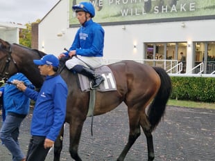 Talk Of New York claims stunning win at Kempton Park