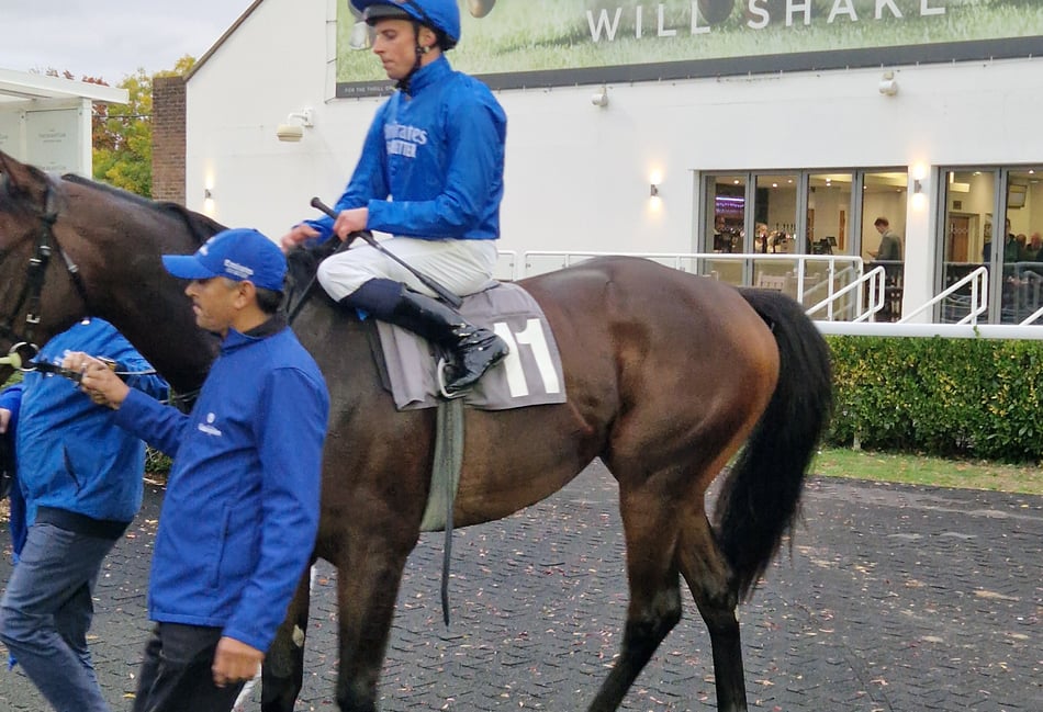 Talk Of New York claims stunning win at Kempton Park