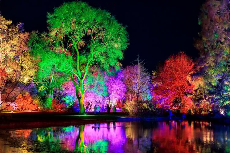From shimmering lakes to neon trees, RHS Wisley sparkles this festive season
