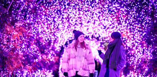 Let it Glow: RHS Wisley lights up its gardens this festive season