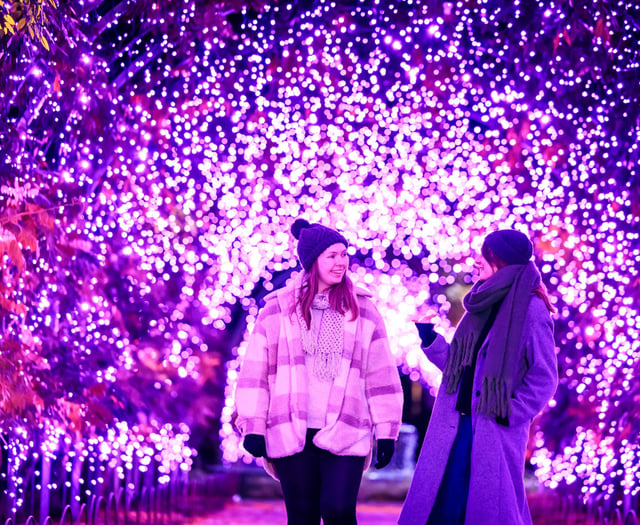 Let it Glow: RHS Wisley lights up its gardens this festive season