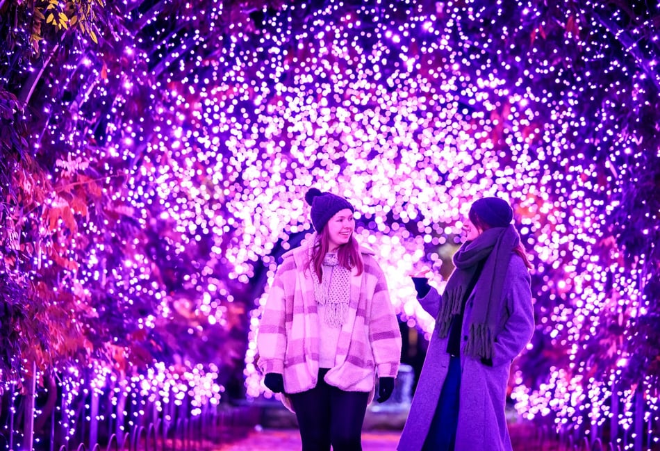 Let it Glow: RHS Wisley lights up its gardens this festive season