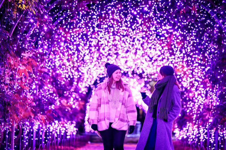 RHS Glow lights up RHS Garden Wisley with thousands of colourful festive lights