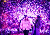 Let it Glow: RHS Wisley lights up its gardens this festive season
