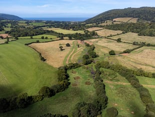 More green space in Woking than English average