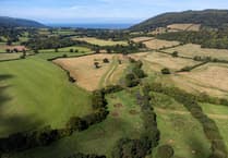 More green space in Woking than English average