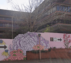 Phoenix Cultural Centre saved after last-minute reprieve