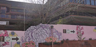 Phoenix Cultural Centre saved after last-minute reprieve