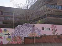 Phoenix Cultural Centre saved after last-minute reprieve