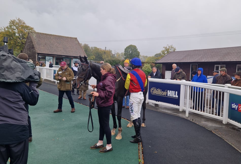 Peter Moore horse racing column: Richard Hannon retires Rosallion