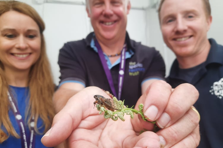 Charlotte Carne and Dominic Price of SRT with, right, Jack WIlliams of Paultons Park (photo by Pete Hughes)