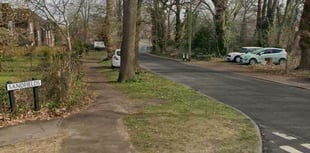 Multiple cars in Send damaged by mindless thugs