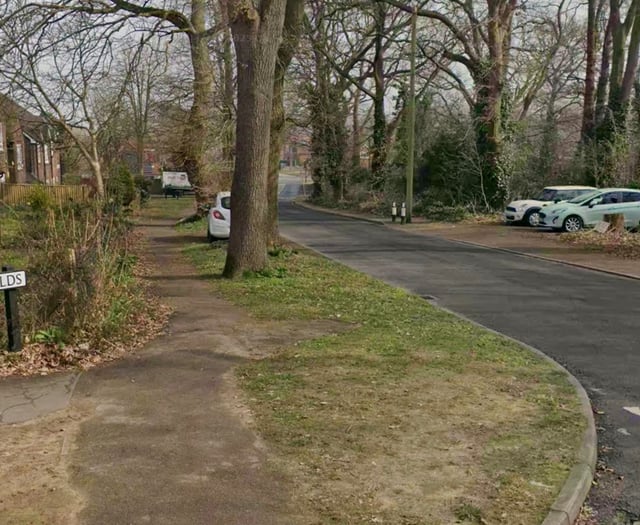 Multiple cars in Send damaged by mindless thugs