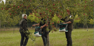 Weathering the storm of climate change