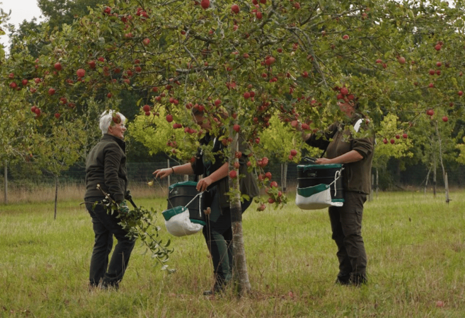 Weathering the storm of climate change