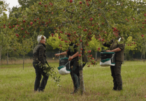 FareShare Sussex & Surrey: Weathering the storm of climate change