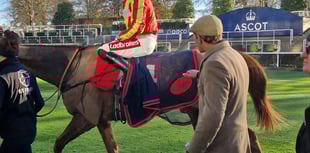 Mixed emotions for Harry Fry on November Weekend opener Ascot