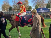 Mixed emotions for Harry Fry on November Weekend opener Ascot
