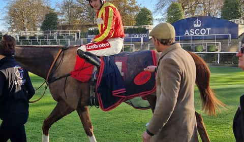 Mixed emotions for Harry Fry on November Weekend opener Ascot