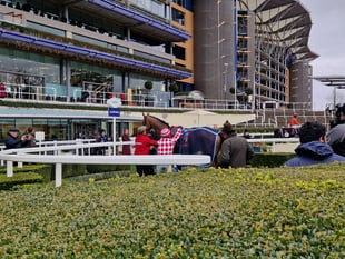 Trainer Jamie Snowden completes unique feat at Windsor