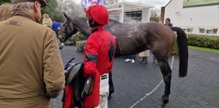 Irish trainer Emmet Mullins celebrates double at Kempton