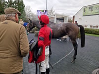 Irish trainer Emmet Mullins celebrates double at Kempton