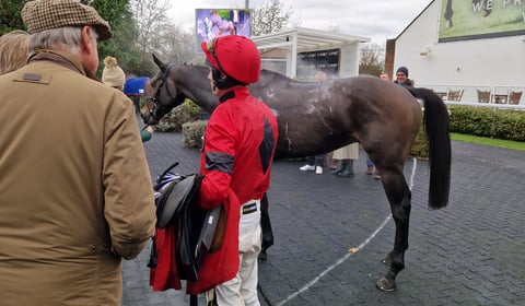 Irish trainer Emmet Mullins celebrates double at Kempton
