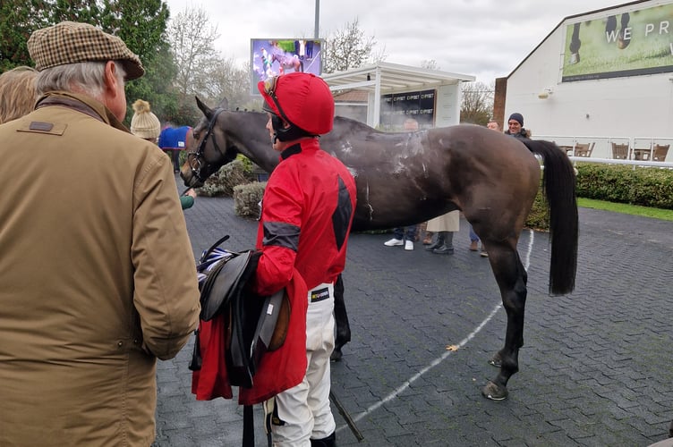 Jax Junior at Kempton (Photo: Peter Moore)