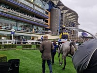 Joe Tizzard continues impressive month with double at Ascot Racecourse