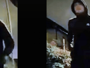 WATCH: Can you help police after Byfleet stabbing?