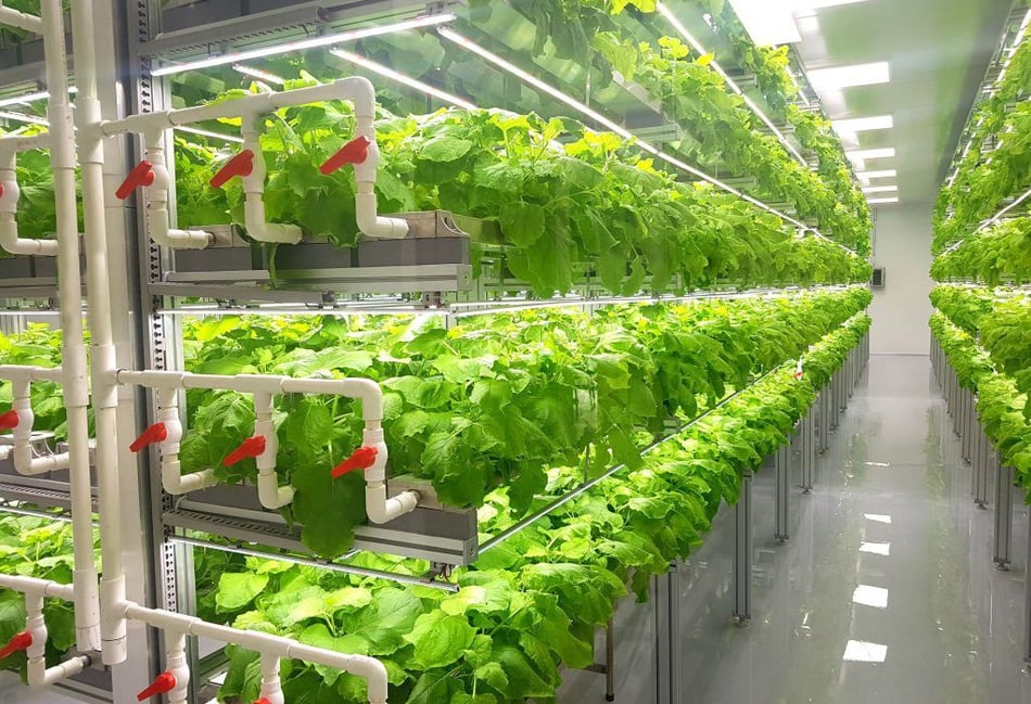 Does case for vertical farming stack up?
