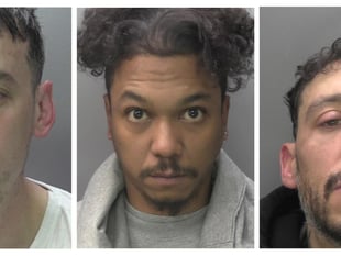Gun-stealing burglars jailed after chase and golf club manhunt