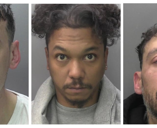 Gun-stealing burglars jailed after chase and golf club manhunt