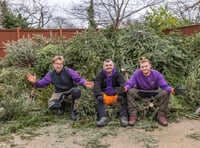 A tree-mendous way to help children in need this January