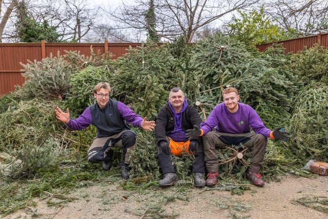 A tree-mendous way to help children in need this January