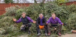A tree-mendous way to help children in need this January