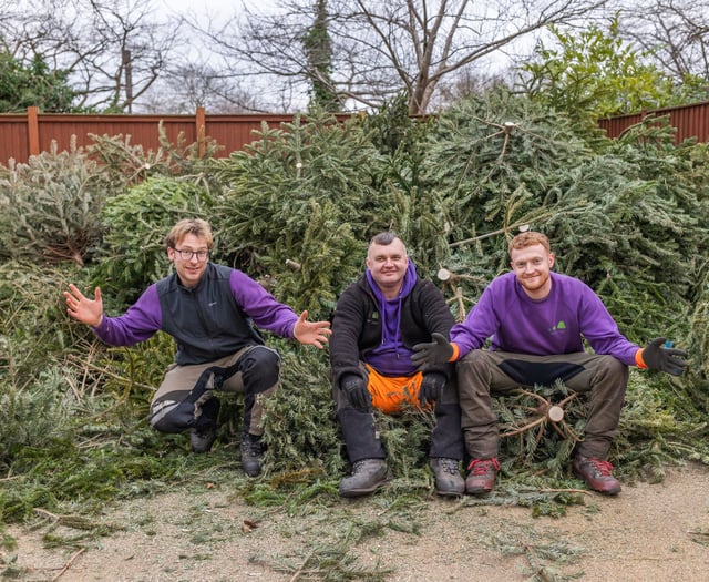 A tree-mendous way to help children in need this January
