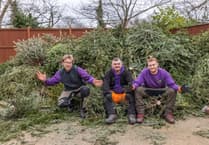 A tree-mendous way to help children in need this January