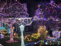 Bramble Way's Christmas lights in aid of cancer charity