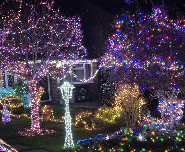 Bramble Way's Christmas lights in aid of cancer charity